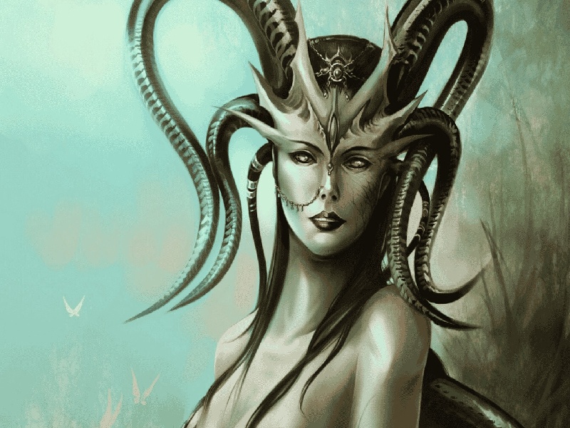 李先生夫妇成功案例